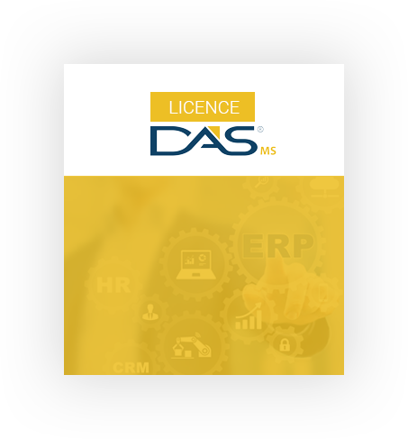Licence DAS MS